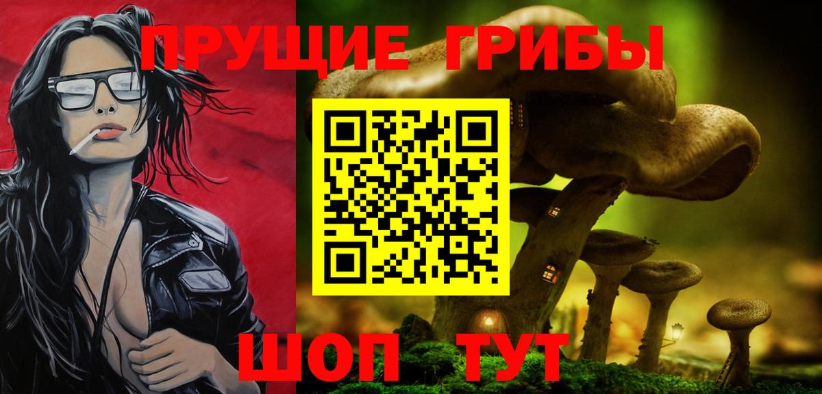 Галлюциногенные грибы Cubensis  Вход с VPN  Вичуга 