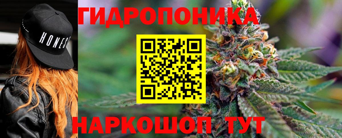 Канабис Bruce Banner  Вход с VPN  Марихуана Amnesia  Марихуана THC 21%  Вичуга 